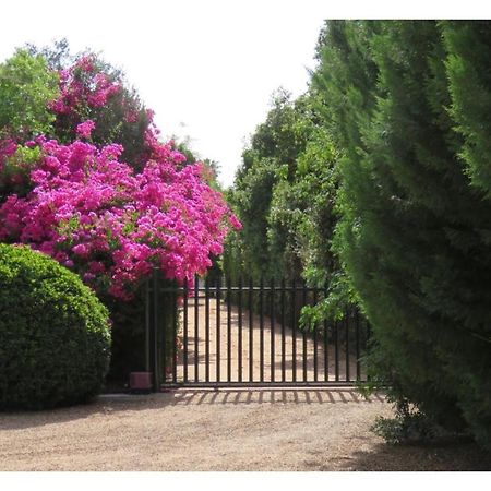 Blue Mountain View Cottages Clanwilliam Εξωτερικό φωτογραφία