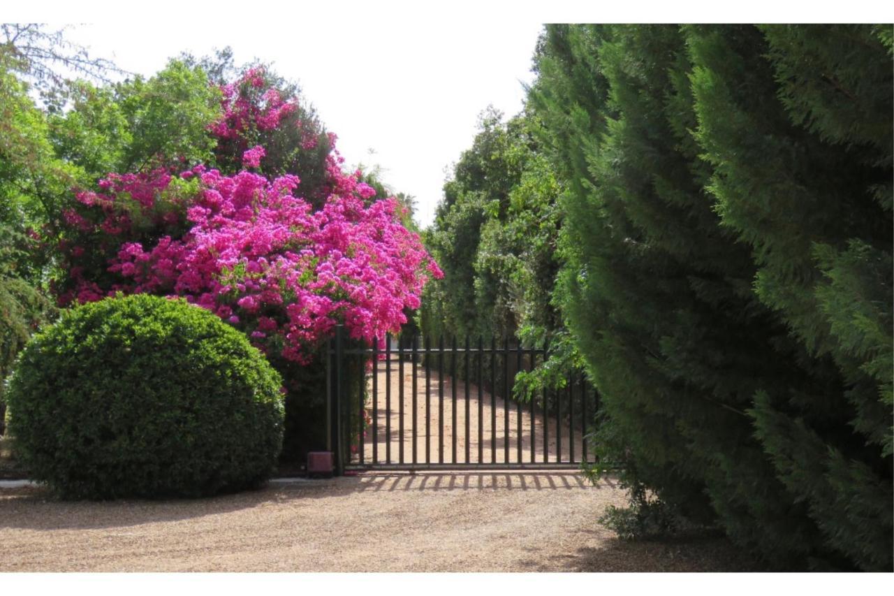 Blue Mountain View Cottages Clanwilliam Εξωτερικό φωτογραφία